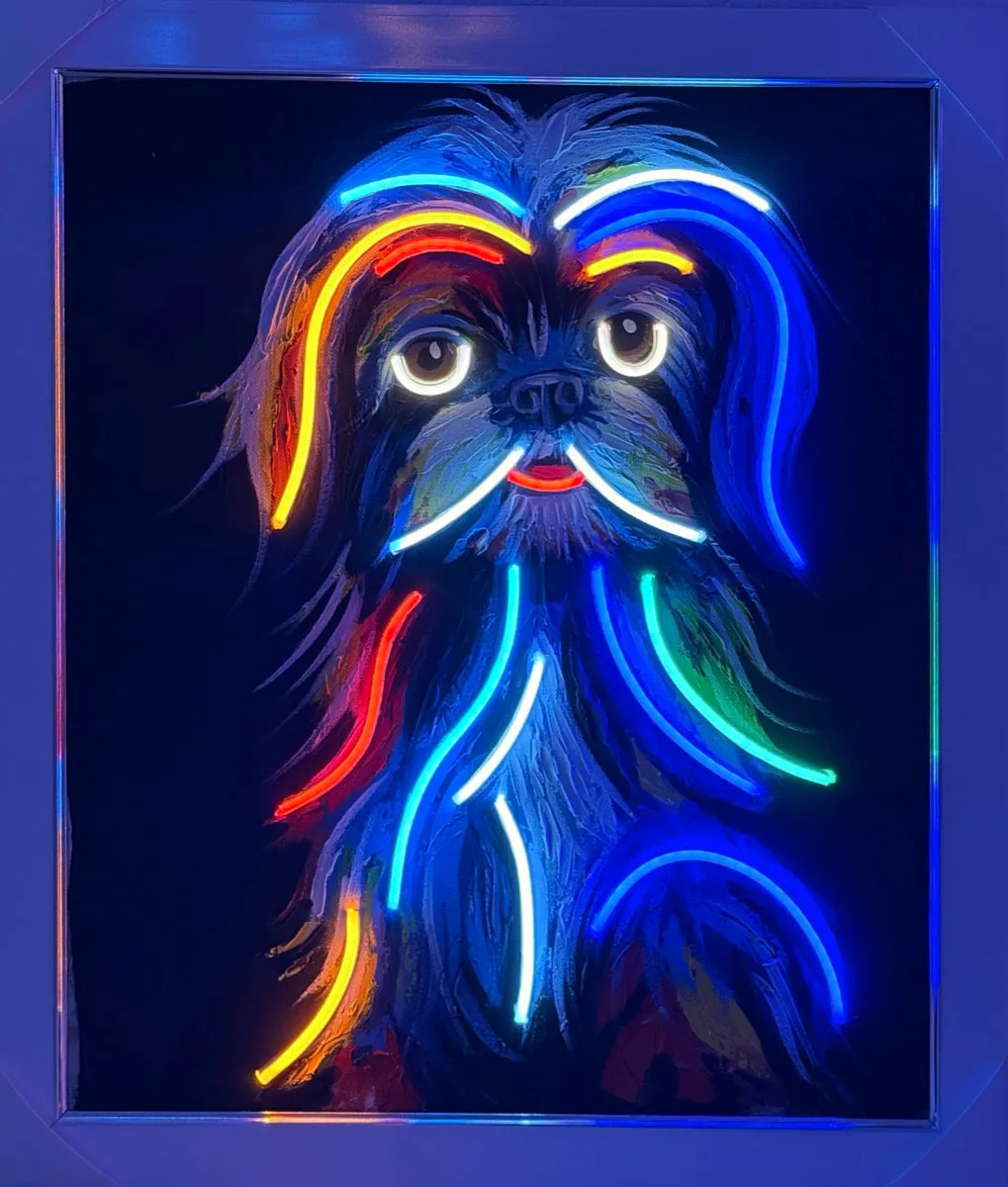Peludo Nocturno