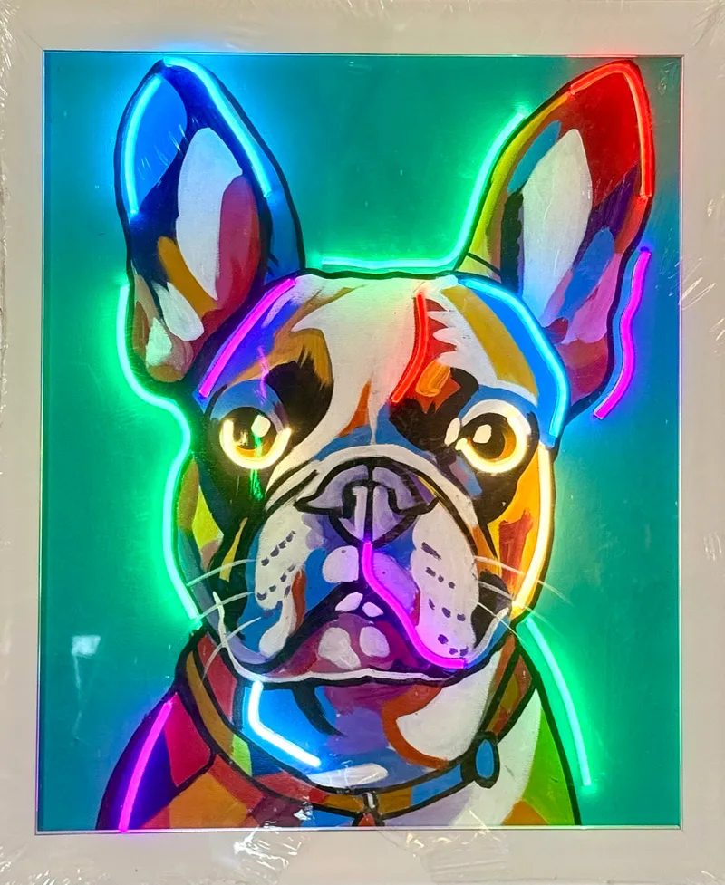 Frenchie Arcoíris