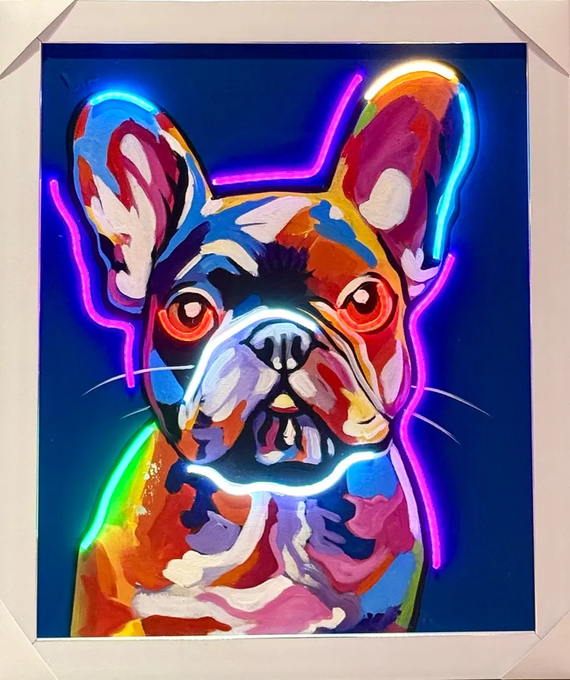Frenchie Azul